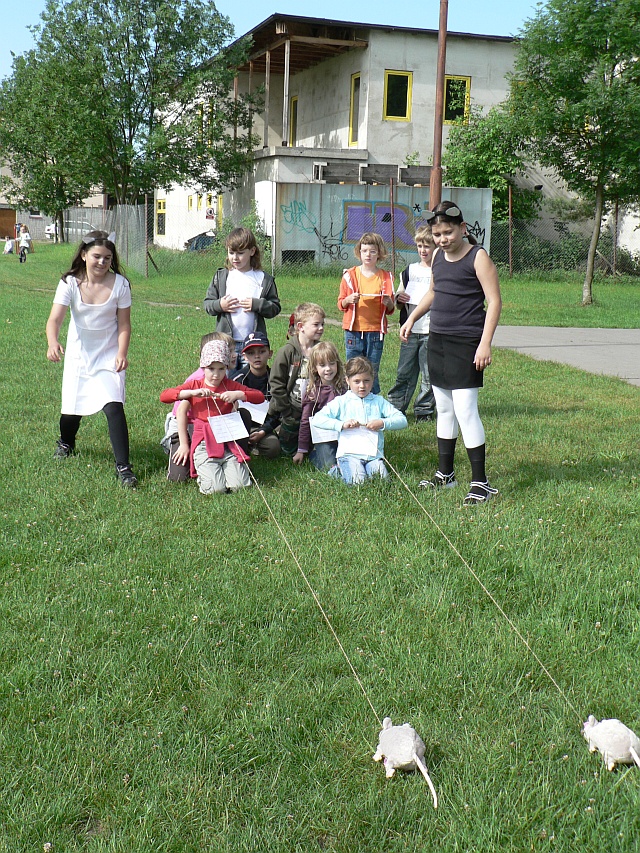 Kočičky.JPG
